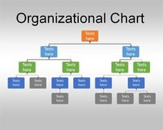 an organizational chart is shown in this slide