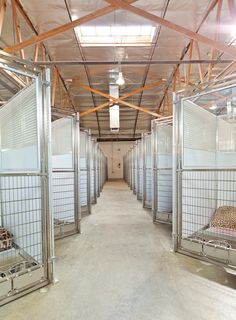 the inside of a storage facility with several cages and leopard print pillows on them,