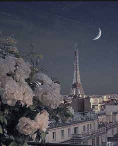 the eiffel tower is lit up at night with flowers in front of it