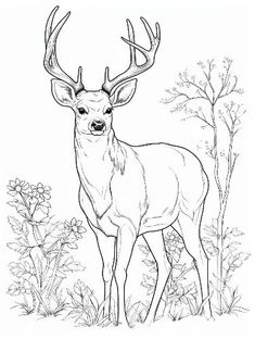 a deer standing in the grass with trees and bushes behind it, coloring pages for adults