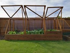 an outdoor garden area with raised wooden planters and plants growing in the ground below