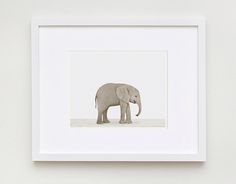 an elephant standing in the middle of a white frame