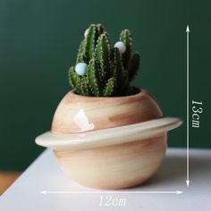 a small potted cactus sitting on top of a table next to a measuring tape