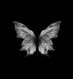 a black and white photo of a butterfly's wings in the dark, with only one wing visible