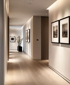 an empty hallway with pictures on the wall and potted plant in the corner next to it