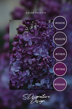 purple flowers with the text color palette