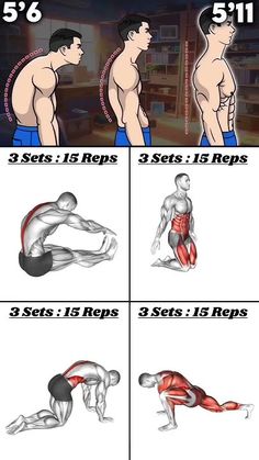 the different muscles are shown in this graphic diagram, which shows how to perform an exercise