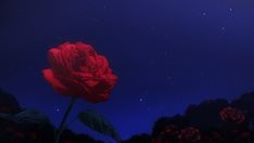 a large red rose sitting on top of a lush green field under a night sky