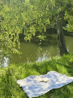 a blanket is laying on the grass next to a tree near a body of water