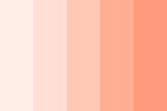 an orange and pink color palette