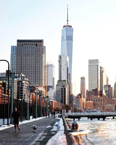 a man walking his dog down the street in front of a city skyline with skyscrapers