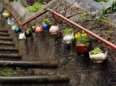 there are many potted plants on the wall and one is saying tell me, what is it you plan to do with your one and expect life?