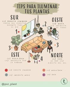 a poster with the words tips para tuminar, tus plantas and other things