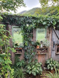 an old shed with plants growing on it