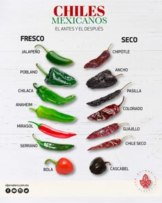 the different types of peppers are shown in this diagram, which shows their names and colors