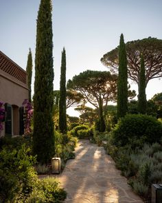 the sun shines through trees and bushes in an outdoor garden with stone path between two buildings