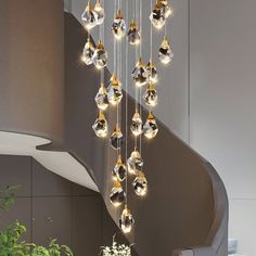 a chandelier hanging from the ceiling in a living room next to a plant