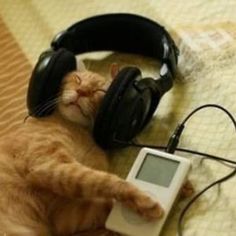 an orange cat laying on top of a bed next to headphones and a calculator