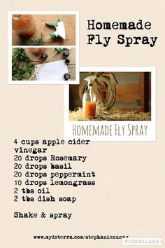 the recipe for homemade fly spray is shown