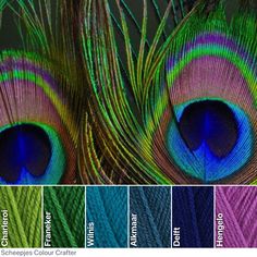 the colors of peacock feathers are shown in this color chart, which shows different shades