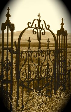 an old iron gate in the middle of nowhere