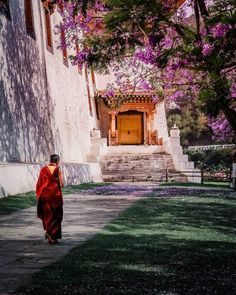 a woman in a red robe walking down a sidewalk with purple flowers on the trees