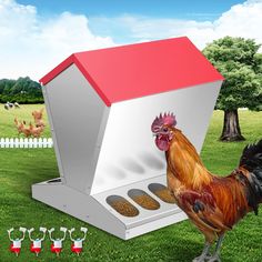 a chicken is standing in front of a box on the grass with four smaller chickens around it