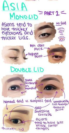 Realistic Eye Drawing, Asian Eyes, Anatomy Drawing, Anatomy Reference, Anatomy Art, Character Design References