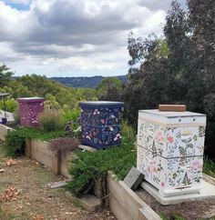 some very pretty boxes in the grass by some bushes and trees on a cloudy day