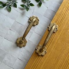 two ornate brass handles on a wooden door next to a plant with green leaves in the background