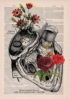 an image of a human heart with flowers in it on top of dictionary book pages