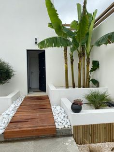 a wooden walkway between two planters and a white wall with palm trees in the background