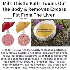 Pin on It's Natural: Herbal Detoxifying Herbs, Home Health Remedies, Herbal Healing, Health And Fitness Articles, Herbs For Health, Healthy Liver, Milk Thistle, The Liver, Hormone Health