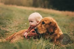 a baby sitting next to a dog in the grass