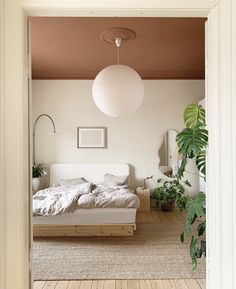 an open door leading to a bedroom with a bed and plant in the corner next to it