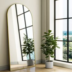 a plant in a pot next to a large mirror on the floor near a window