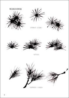 the different types of pine needles are shown in black and white, with chinese writing