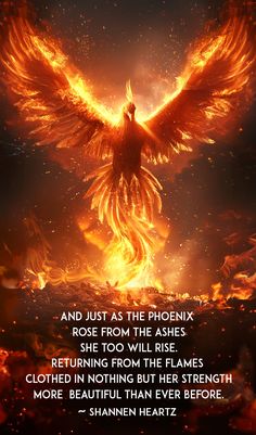 an image of a fire bird with the quote, and just as the phoenix rose from the ashes