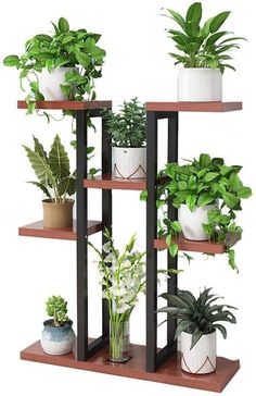 a wooden shelf filled with potted plants on top of each other