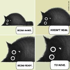 a black cat with four circles on its face and the caption says, i've tried to be kinda but there's a demon in my mind