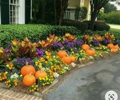 pumpkins and flowers in front of a house