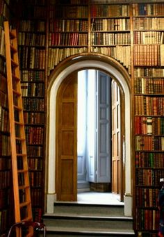 an arched doorway in a library filled with books