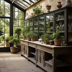 a room filled with lots of potted plants