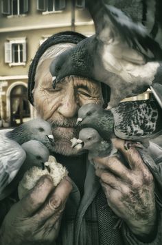 an old man holding pigeons in his hands