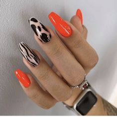 2023 Nails, French Elegance, Animal Nails, Animal Print Nails, Ideas Nails, Nails 2024, Funky Nails, Fancy Nails