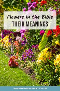 flowers in the bible with text overlay that reads, flowers in the bible their meaningss