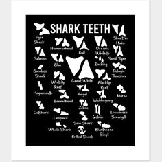 a black and white poster with different types of shark teeth in various shapes, sizes and colors