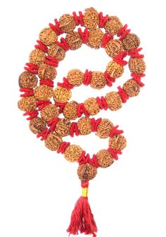 Product Name : Ganesha Rudraksha Kantha Bead size : 19 mm - 20 mm Design :  33 beads of high quality Ganesha rudraksha of nepal strung in strong thread having traditional knots between beads with Woolen spacers . Origin : Nepal Description :  Ganesh Rudraksha bears a Trunk like elevation as is seen on the face of Lord Ganesha, the son of Lord Shiva. Ganesha, the elephant-headed God of success and overcoming obstacles, is also associated with wisdom, learning, prudence, and power. He gives 'Riddh Temple Necklace With Latkans And Round Beads For Festivals, Festive Temple Necklace With Round Beads For Rituals, Temple Necklace With Tilla And Round Beads For Festivals, Festival Temple Necklace With Tilla And Round Beads, Traditional Red Mala For Diwali, Festive Rituals Mala With Pallu, Traditional Red Mala For Festivals, Red Mala With 108 Beads For Puja, Red Hand-strung Mala For Puja