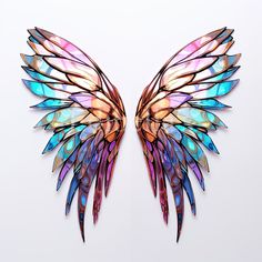 two colorful wings are shown against a white background and one has multicolored wings