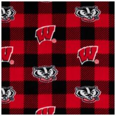 the university of wisconsin plaid pattern is shown